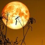 Harvest Moon: Autumnal Thoughts On Golf, Price And Alternatives