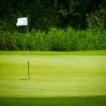 Hit The Wrong Golf Green? This Is Your Only Option