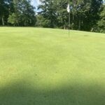 Unfixed Ball Marks Are Officially Out Of Control