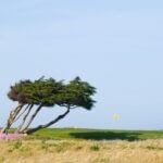 Downwind Versus Upwind: The Adjustments You Should Be Making (But Aren’t)